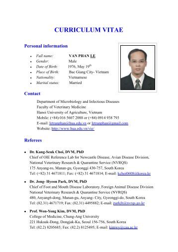 curriculum vitae information technology