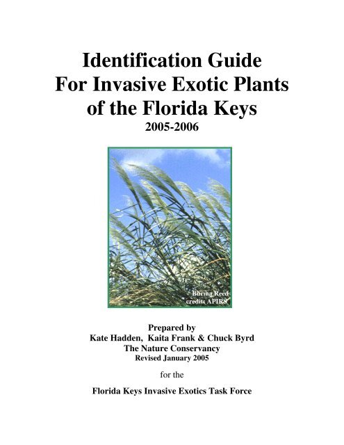 Identification Guide For Invasive Exotic Plants of the Florida Keys