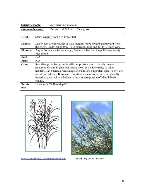 Identification Guide For Invasive Exotic Plants of the Florida Keys