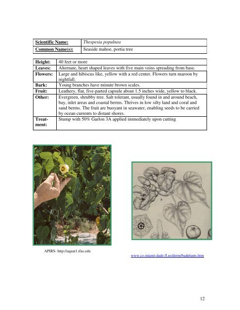 Identification Guide For Invasive Exotic Plants of the Florida Keys