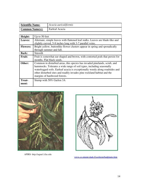 Identification Guide For Invasive Exotic Plants of the Florida Keys