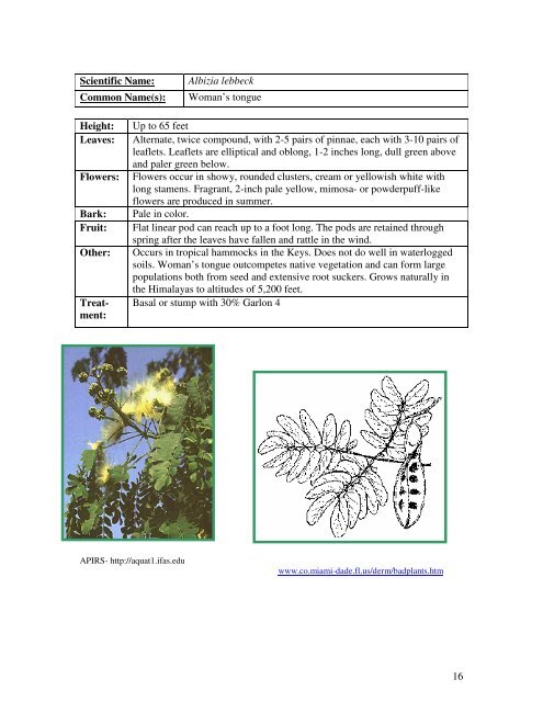 Identification Guide For Invasive Exotic Plants of the Florida Keys
