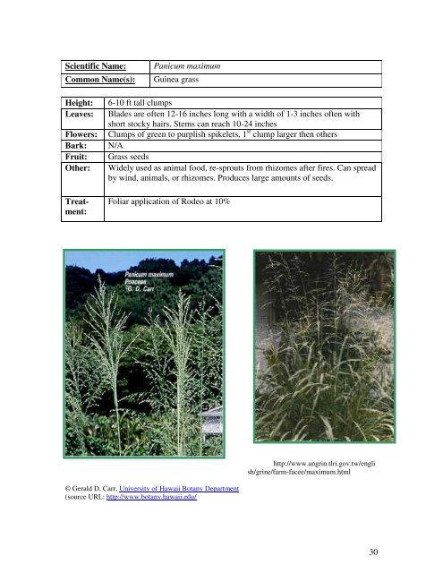 Identification Guide For Invasive Exotic Plants of the Florida Keys