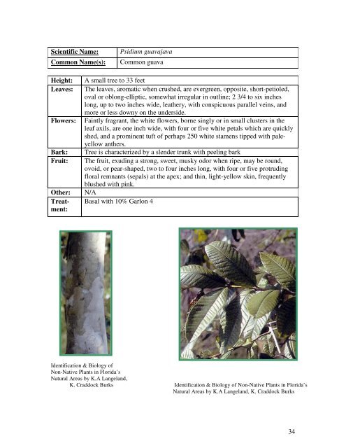 Identification Guide For Invasive Exotic Plants of the Florida Keys