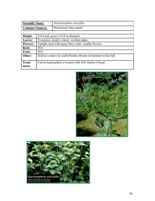 Identification Guide For Invasive Exotic Plants of the Florida Keys