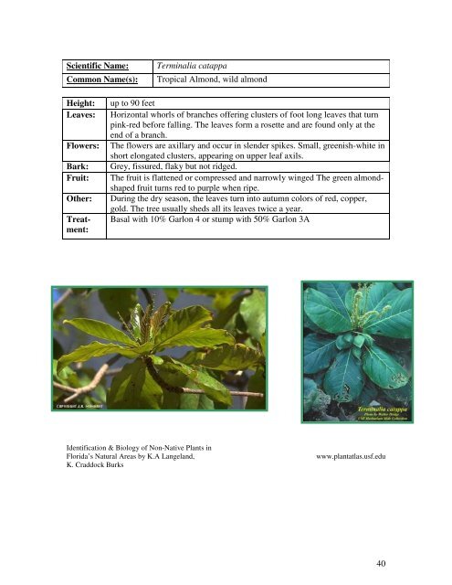 Identification Guide For Invasive Exotic Plants of the Florida Keys