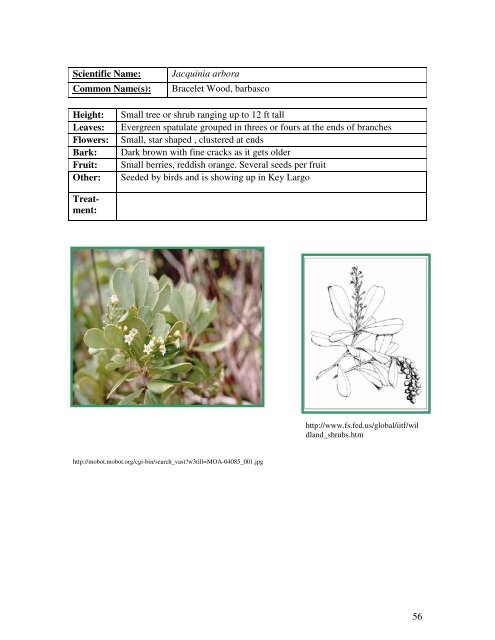 Identification Guide For Invasive Exotic Plants of the Florida Keys