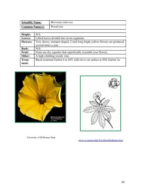 Identification Guide For Invasive Exotic Plants of the Florida Keys