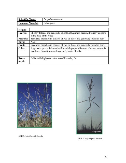 Identification Guide For Invasive Exotic Plants of the Florida Keys