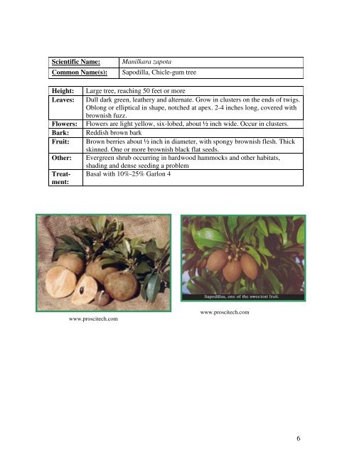 Identification Guide For Invasive Exotic Plants of the Florida Keys