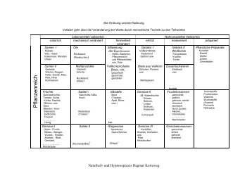 Tabelle zur Rangordnung der Nahrungsmittel. - Dagmar Korteweg