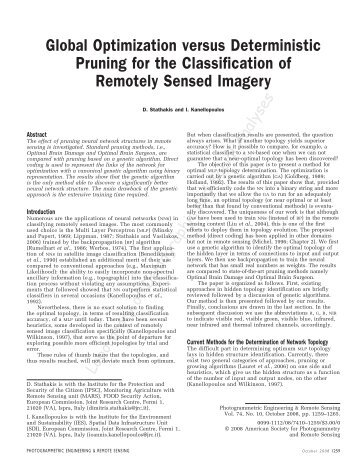 Global optimization versus deterministic pruning for the classification ...