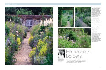 Herbaceous borders - Arne Maynard Garden Design