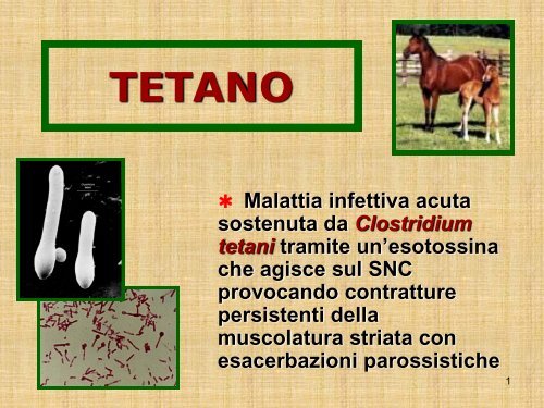 TETANO - FacoltÃ  di Medicina e Chirurgia