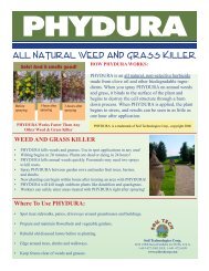 All NAtural Weed and Grass Killer - Soil Technologies