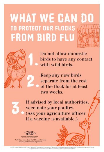 Bird Flu Posters