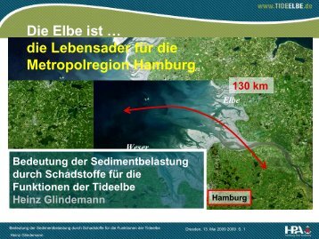 Bedeutung der Sedimentbelastung durch Schadstoffe fÃ¼r ... - FGG Elbe