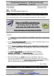 Datei herunterladen (290 KB) - .PDF - Gemeinde Scheffau am ...