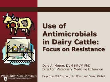 Use of Antimicrobials in Dairy Cattle: Dale Moore