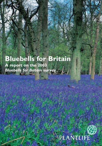 Bluebells for Britain - Plantlife