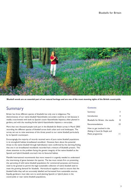 Bluebells for Britain - Plantlife