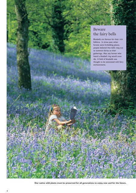 Bluebells for Britain - Plantlife