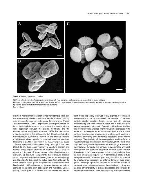 Pollen and Stigma Structure and Function: The Role of Diversity in ...