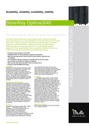 StoreWay Optima3040