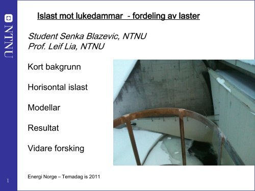 Student Senka Blazevic, NTNU Prof. Leif Lia, NTNU - Energi Norge