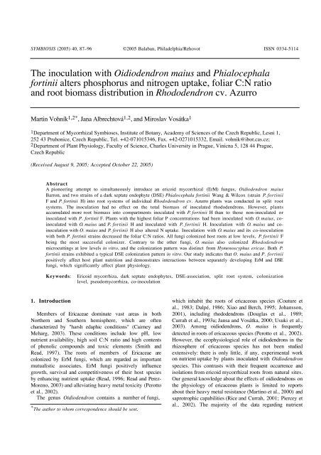 The inoculation with Oidiodendron maius and Phialocephala fortinii ...