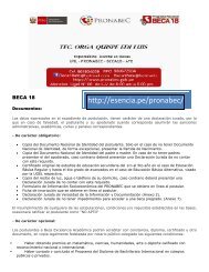 beca18-ie-convordinaria2014