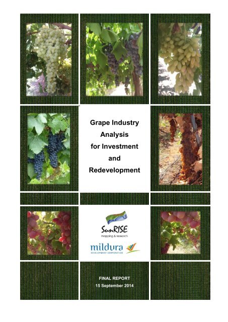 Grape Industry Analysis for Investment and Redevelopment