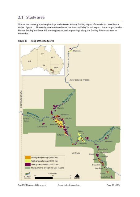 Grape Industry Analysis for Investment and Redevelopment