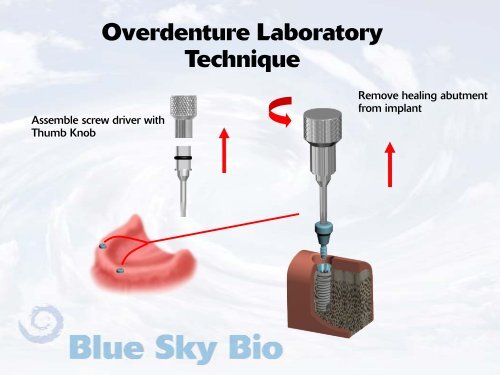 Download - blue sky bio