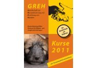 buhu GREH-Kursprogramm_2011.indd - Hundeschule GREH