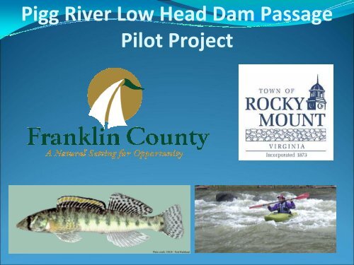 Pigg River Low Head Dam Passage Pilot Project - Town of Rocky ...