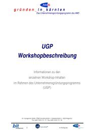 UGP Workshopbeschreibung