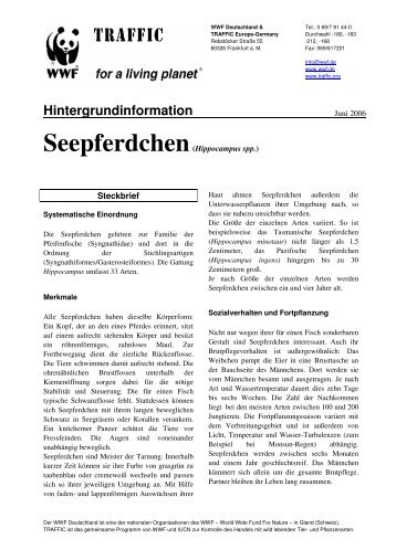 Hintergrundinformation - WWF Arten AZ - WWF Deutschland