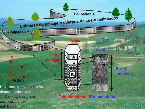 CARTOGRAFÃA DE SUELOS