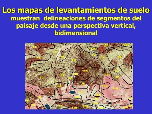 CARTOGRAFÃA DE SUELOS