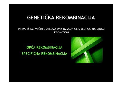 Microsoft PowerPoint - GENETIKA REKOMBINACIJA.pdf