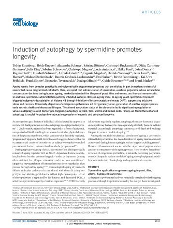 Induction of autophagy by spermidine promotes longevity