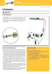 Technische Dokumentation (pdf - 215 ko) - Carly