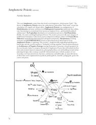 Nicholas Komodore: Amphoteric Poiesis - Left Curve