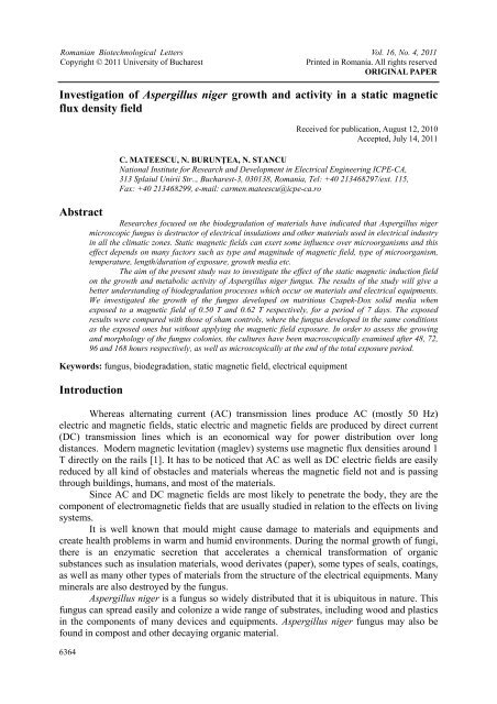 Investigation of Aspergillus niger growth and activity in ... - Rombio.eu