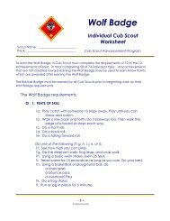 Bobcat Badge Individual Scout Worksheet