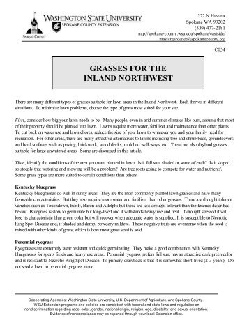 grasses for the inland northwest - Spokane County Extension ...