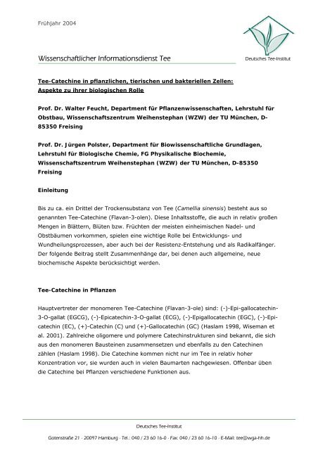 pdf zum Download - Deutscher Teeverband e.V.
