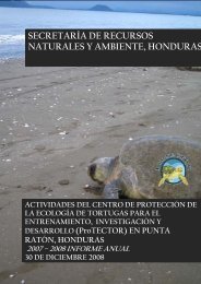 secretarÃ­a de recursos naturales y ambiente, honduras - ProTECTOR