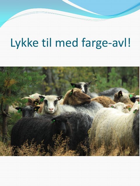 Les deilar av foredraget her